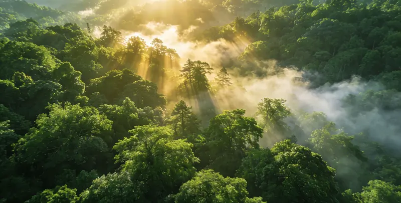 菏泽肺癌靶向120基因检测（组织）图片1